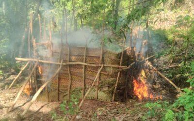 A Mayotte, une charbonnière illégale détruite pour préserver l’environnement