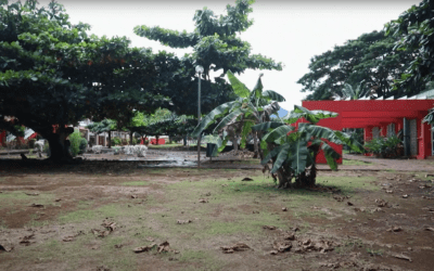 Violence à l’école : La FCPE réclame une action ministérielle conjointe à Mayotte