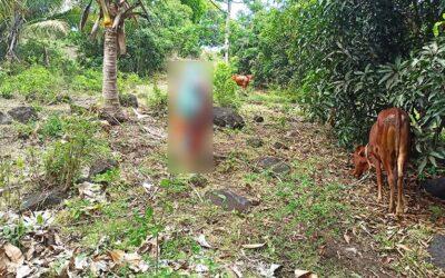 Femme égorgée dans un champ à Doujani : Macabre découverte en plein jour