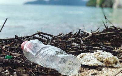 Déchets et insalubrité à Mayotte : L’île face à un nouveau défi environnemental