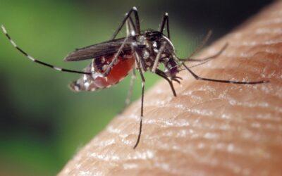 En 2023, 38 cas de paludisme ont été recensés dans le département 