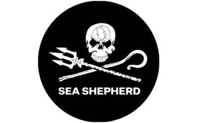 Sea Shepherd fait arrêter trois braconniers de tortues