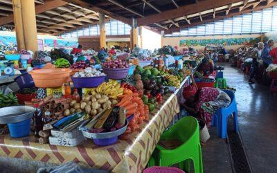 Stabilité des prix à la consommation à Mayotte en Juin 2024
