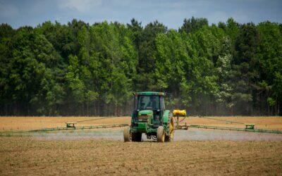 Passamaïnty : Un agriculteur sans histoire sauvagement assassiné devant chez lui