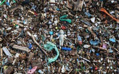 La bombe à retardement des déchets post-cyclone inquiète