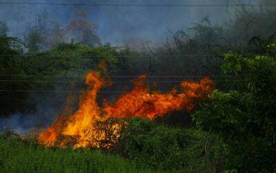 Mayotte en proie aux flammes : des incendies incontrôlés ravagent l’île