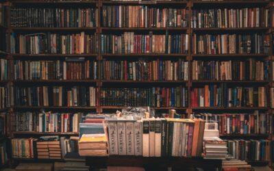 Koungou : des cambrioleurs passent par le toit de la bibliothèque