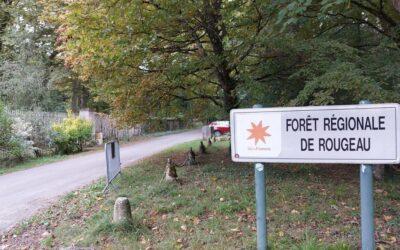 Meurtre en forêt de Rougeau : un jeune Mahorais de 21 ans tué par balles