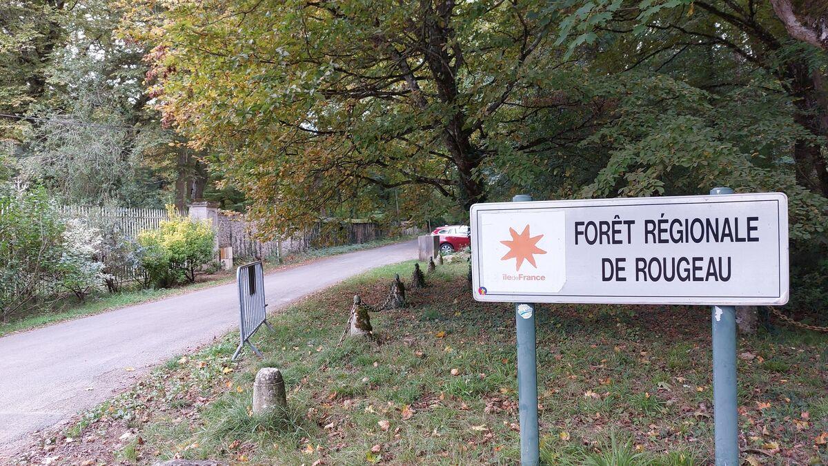 Meurtre en forêt de Rougeau : un jeune Mahorais de 21 ans tué par balles