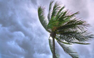 La tempête tropicale Chenge file vers le nord de Madagascar avant de perdre de sa force