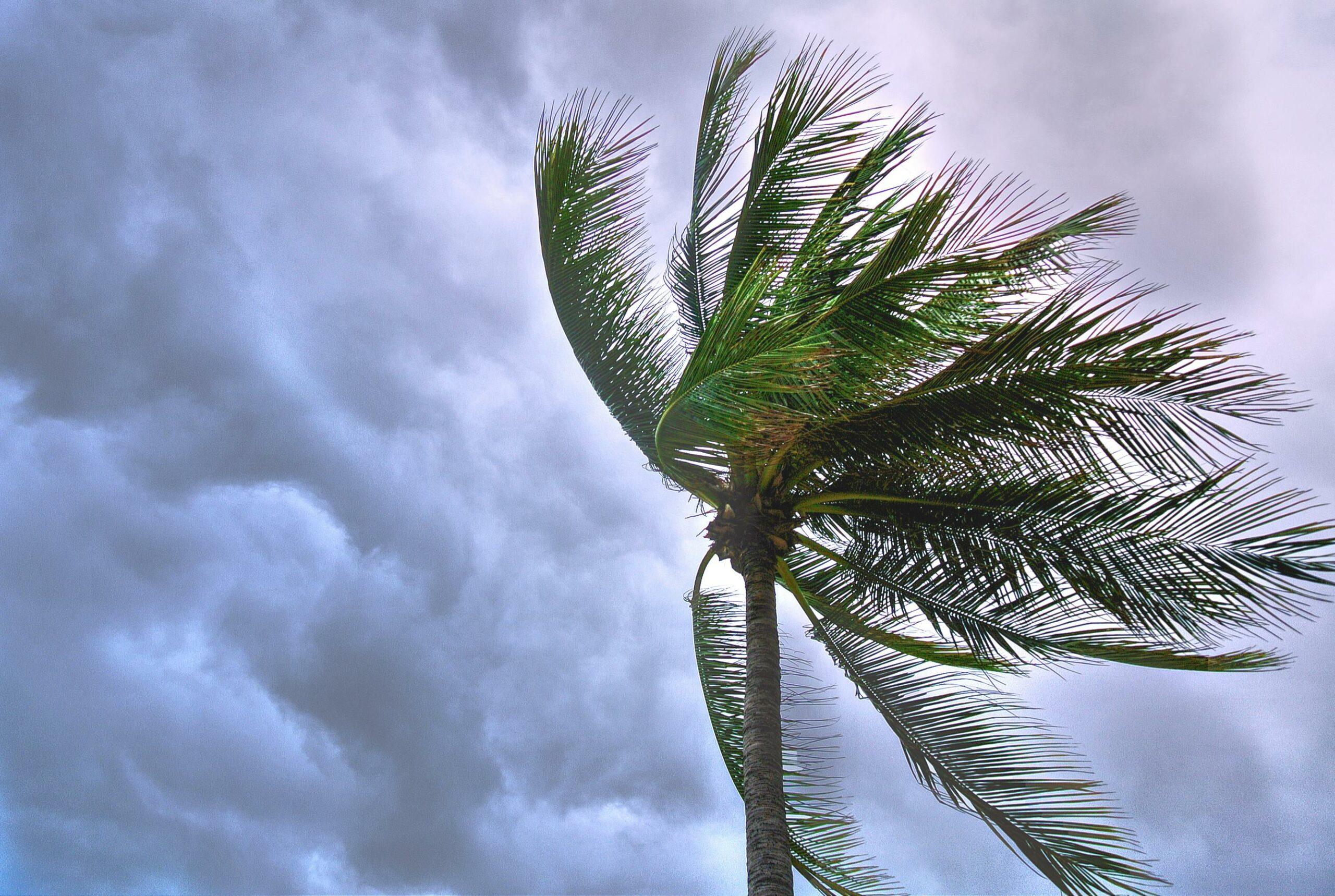 La tempête tropicale Chenge file vers le nord de Madagascar avant de perdre de sa force
