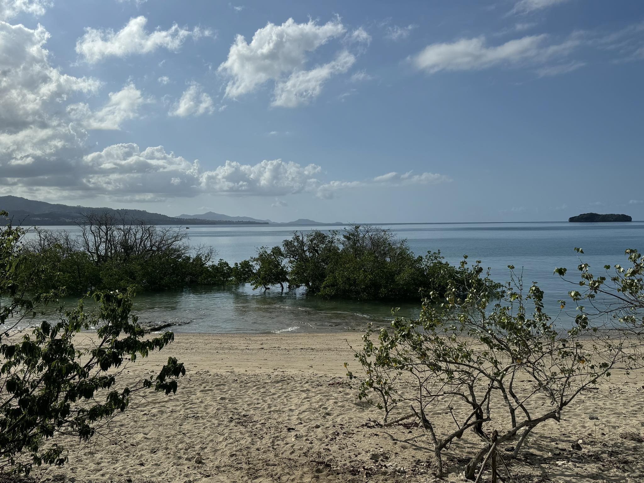 Badamier : la baignade interdite après une contamination fécale dans le lagon