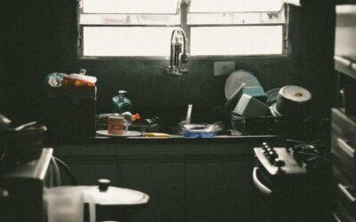 Hygiène en défaut : deux commerces contraints de baisser le rideau à Mayotte