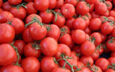 Tomates sous soupçon : à Mayotte, les étals dans le viseur de l’État