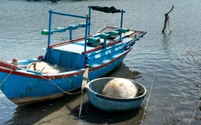 Cap sur le renouveau : l’Europe donne son feu vert à la modernisation des flottes ultramarines