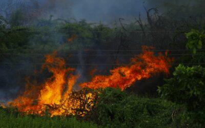 Incendies : Ali Madi accuse les élus de détourner le regard