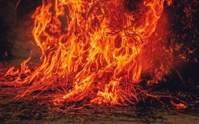Mayotte ravagée par 13 feux de brousse en un week-end : les cultures sur brûlis pointées du doigt