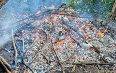 À Bandraboua, une nouvelle charbonnière clandestine réduite en cendres